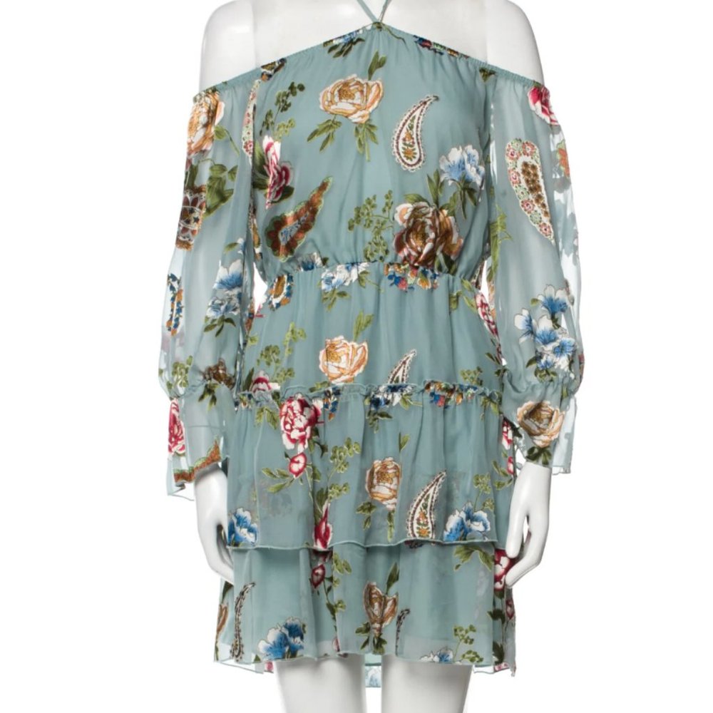Alice + Olivia Floral Print Mini Dress